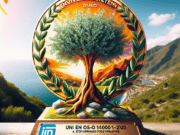 **"UNI EN ISO 14002-1:2020 - Un Passo Avanti per la Gestione Ambientale e la Sostenibilità in Italia"**